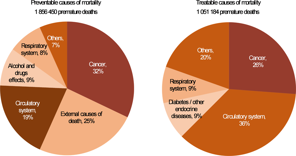 Figure 3.8. Main causes of avoidable mortality, OECD countries, 2017 (or nearest year)